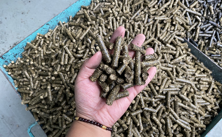 木屑制粒機生物顆粒真正實現燃料變廢為寶