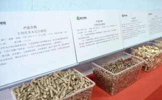 甘肅省靜寧縣仁大鎮(zhèn)生物質(zhì)廢棄物綜合利用項(xiàng)目建成投產(chǎn)